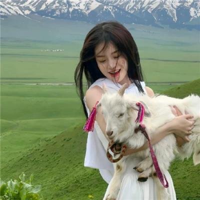 福尔摩斯兄弟历险记